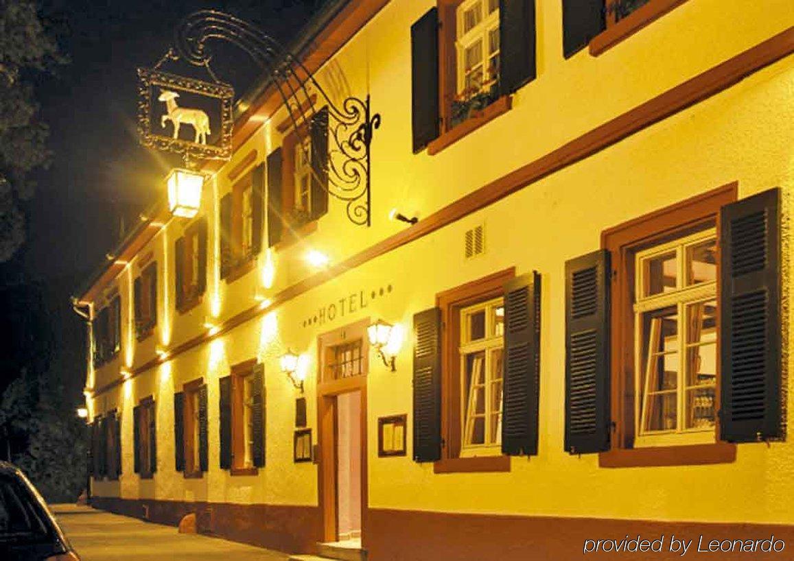 Das Lamm Heidelberg Exterior foto